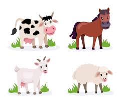 Carnival Sponsor - Image 6